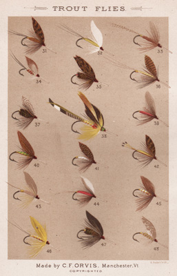ANTIQUE PRINT OF FISHING FLIES FROM 1885